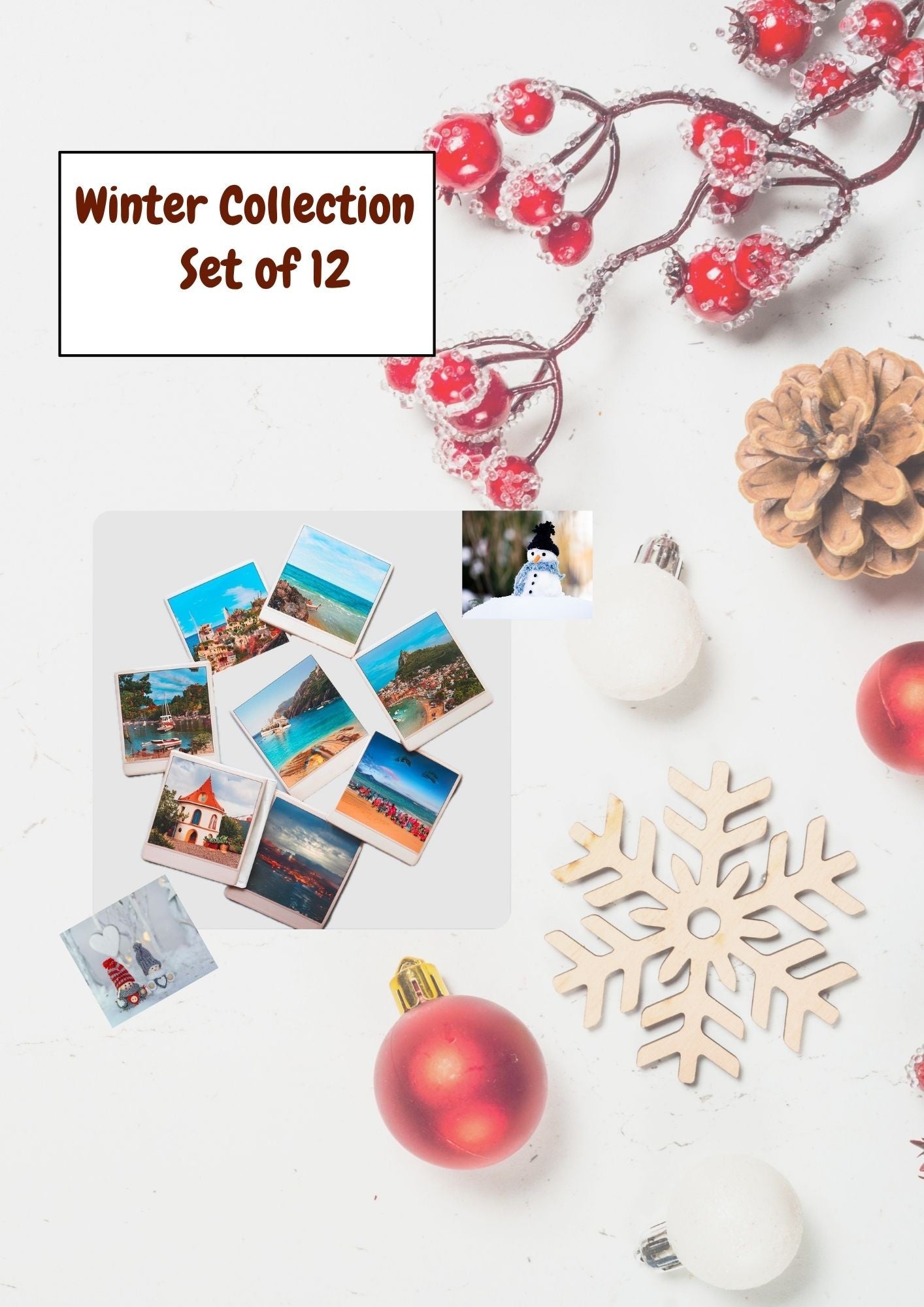 Winter Bundle - Set of 12