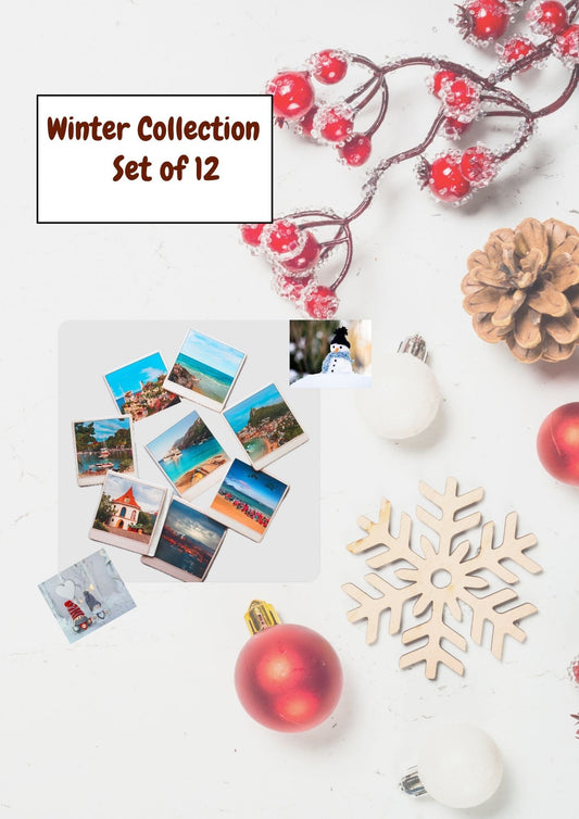 Winter Bundle - Set of 12
